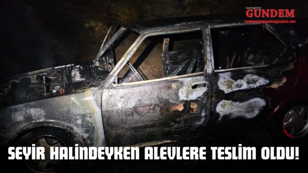 Seyir Halindeyken Alevlere Teslim Oldu!