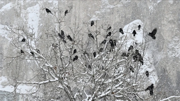 Sıcaklık, Mevsim Normallerinin Üzerine Çıktı