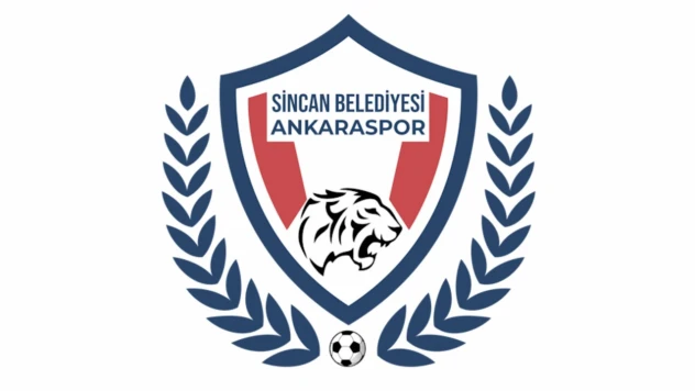 Sincan'ın Başı PFDK İle Dertte