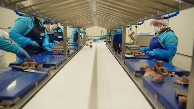 Sinop 2025'te İhracatta Vites Yükseltti