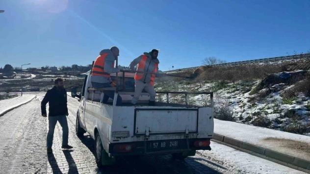 Sinop'ta 'Kürekli' Tuzlama Çalışması