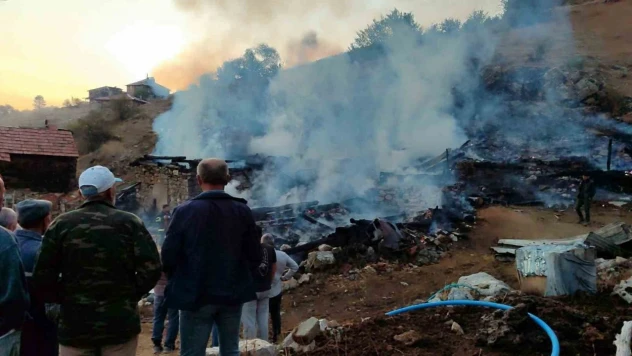 Sinop'ta Çıkan Yangında 2 Ev, 2 Ahır, 1 Samanlık Küle Döndü