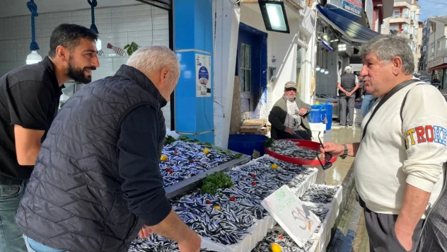Sinop'ta hamsi bereketi: Kilosu 50 lira