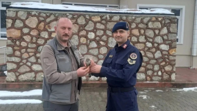 Sinop'ta Jandarma Ekipleri Yaralı Kuşa Umut Oldu