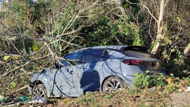 Sinop'ta Kontrolden Çıkan Otomobil Ağaçlık Alana Devrildi