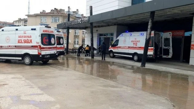 Sinop'ta Mantar Zehirlenmesi