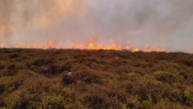 5 Hektar Alan Zarar Gördü
