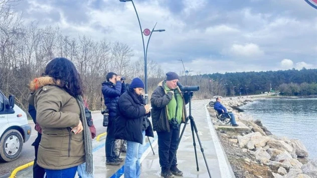 Su Kuşu Sayımı Yapıldı