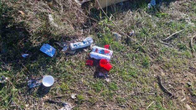 Sinop'ta Tedirgin Eden Görüntü