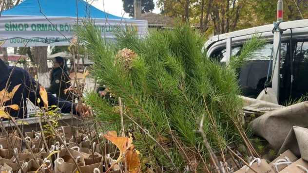 Sinop'ta Vatandaşlara Fidan Dağıtıldı