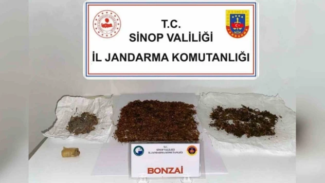 Sinop'ta Zehir Operasyonu