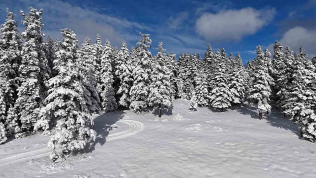 Sinop'tan Kar Manzaraları