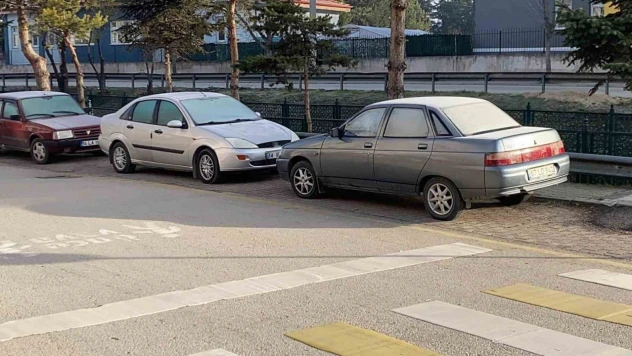 Çimler Ve Otomobil Camları Buz Tuttu