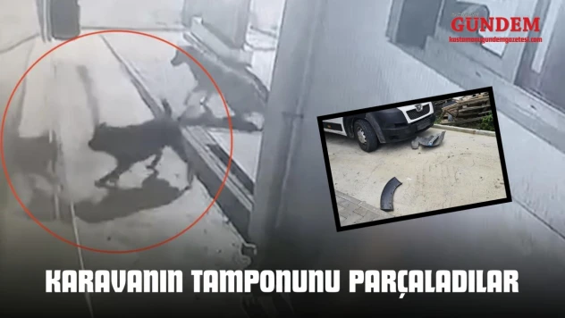 Sokak Köpekleri Karavanın Tamponunu Parçaladı