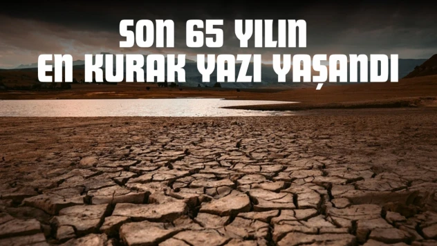 Son 65 Yılın En Kurak Yazı Yaşandı