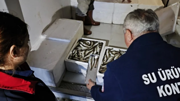 Sürdürülebilir Balıkçılık İçin Gece Denetimi!