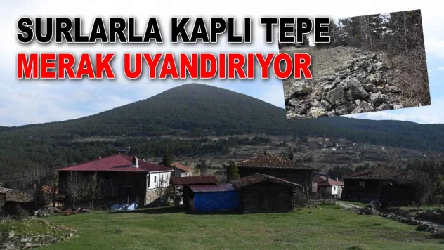 Surlarla Kaplı Tepe Merak Uyandırıyor