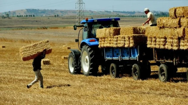Tarım-GFE yüzde 0,26 arttı