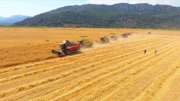 Tarım-GFE Yüzde 2,03 Arttı