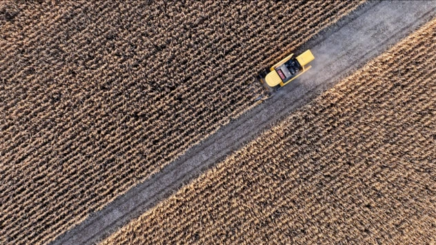 Tarım-GFE Yüzde 3,68 Arttı