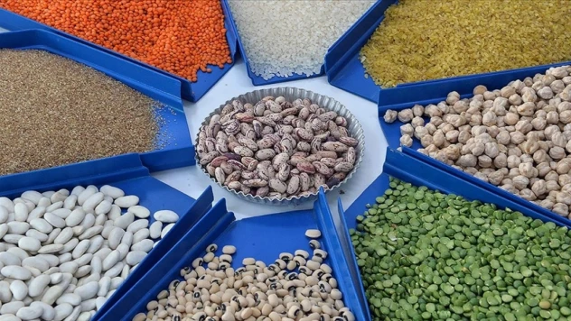 Tarım, Gıda Ve İçecek Sektöründen 2025'te 27,79 Milyar Dolarlık İhracat