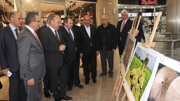 Tarım ve İnsan Sergisi açıldı