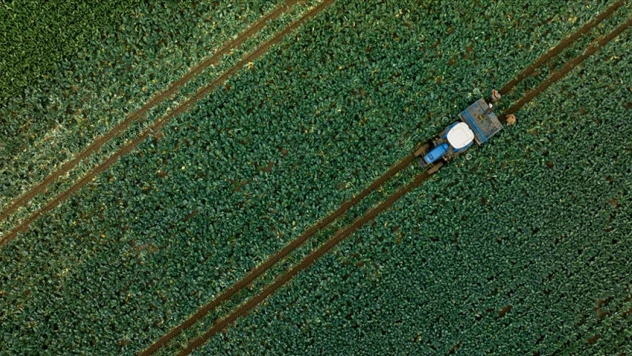 Tarımsal Destekleme Ödemesi Bugün Yapılacak