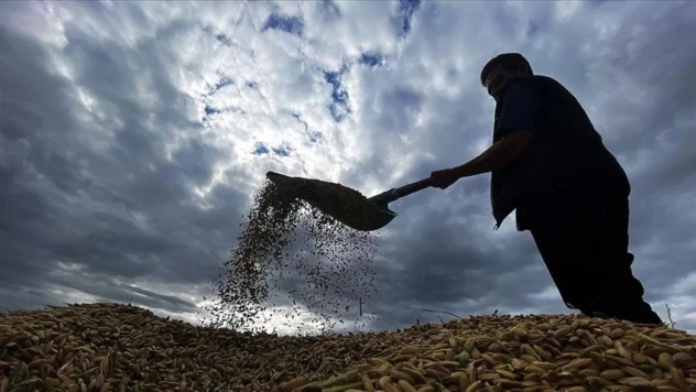 Tarımsal Destekleme Ödemesi Bugün Yapılacak