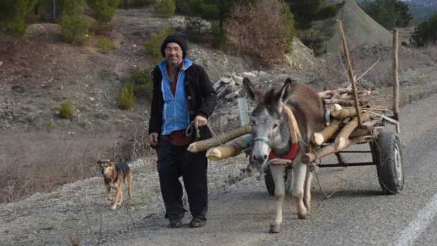Tek eşeği ile çiftçilik yapıyor