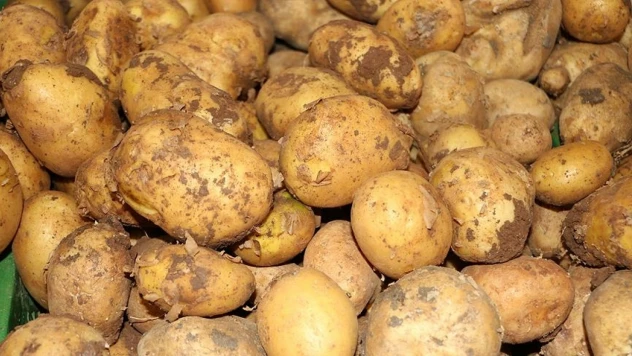Ticaret Bakanlığından Patates Fiyatlarına İlişkin Açıklama