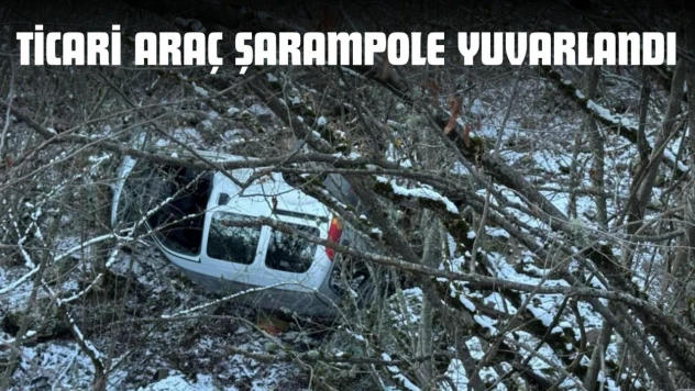 Ticari Araç Şarampole Yuvarlandı