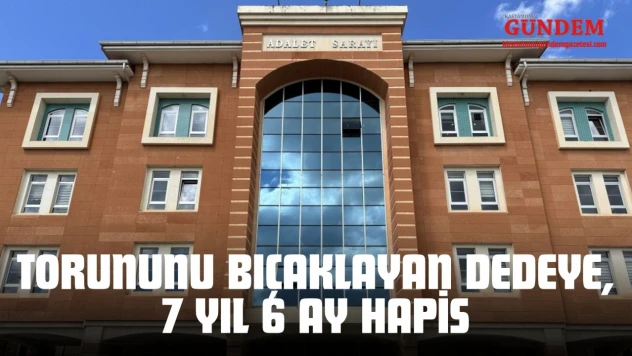 Torununu Bıçaklayan Dedeye, 7 Yıl 6 Ay Hapis