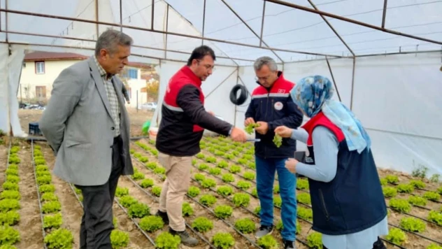 Tosya Akbük Köyü'nde Sera Denetimi Gerçekleştirildi
