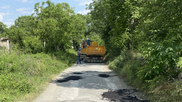 Tosya Belediyesi Bağ Yollarını Onarıyor