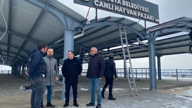 Tosya'da Canlı Hayvan Pazarı Yeniden Hizmete Açılıyor