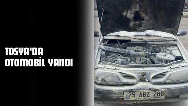 Tosya'da Otomobil Yandı