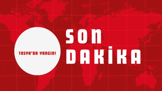 Tosya'da Yangın!