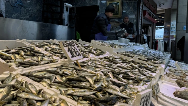 Trabzon'da Balıkçı Tezgahlarında Hamsi Ve İstavrit İlgi Görüyor