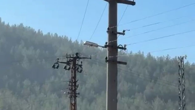 Öfkelenen Sürücü Elektrik Direğine Çıktı