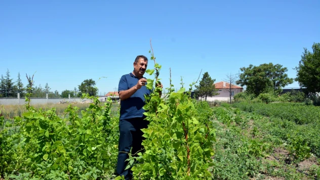 TÜDKİYEB Genel Başkanı Çelik'ten 'Tarımsal Eğitim' Açıklaması