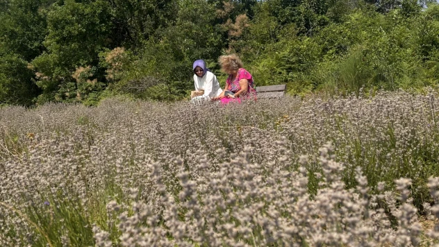 Turizme Yeni Soluk: Önce Abana, Sonra Batı Karadeniz