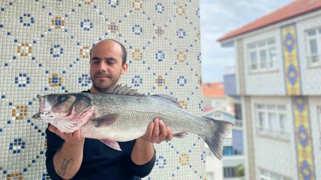 7,5 Kiloluk Dev Levrek Yakalandı