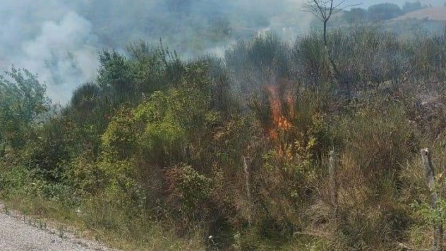 Türkeli'nde Yangın