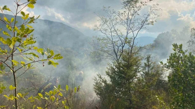 Türkeli'de Otluk Alanda Yangın