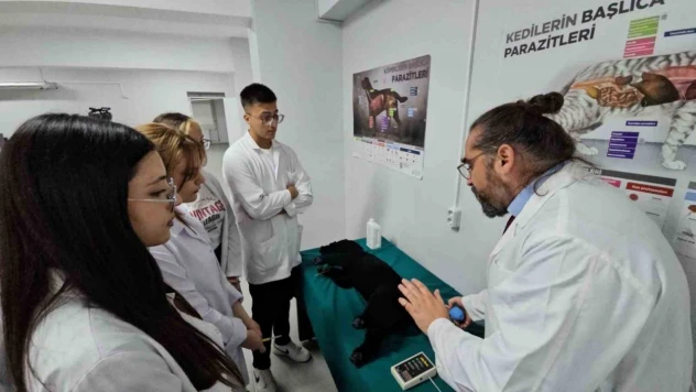 Türkiye'de Bir İlk!