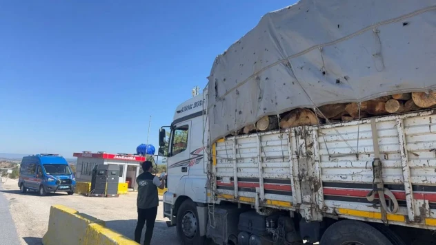 Türkiye'de Eş Zamanlı Denetim