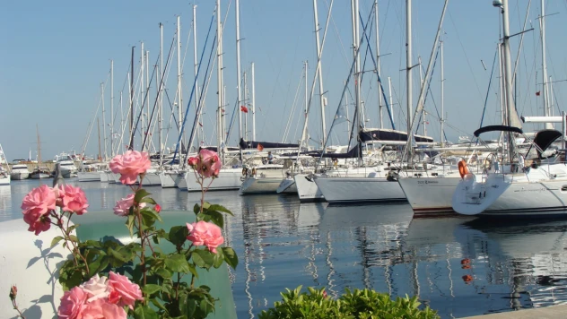 Türkiye'de Kaç Tane Mavi Bayraklı Plaj Var?