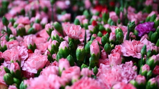 Türkiye'den 83 Ülkeye Çiçek İhracatı Yapıldı