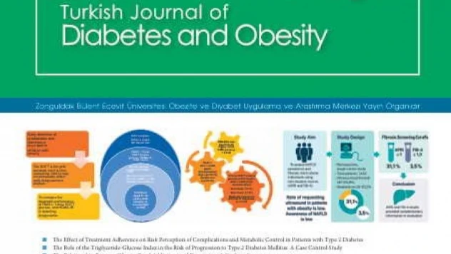 Türkiye Diyabet Ve Obezite Dergisi'nin 2025 Aralık Sayısı Yayımlandı