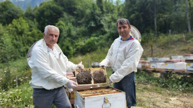 Yenice Ihlamur Balına AB Tescili